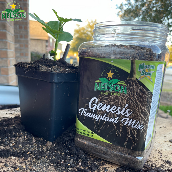 NutriStar Genesis Transplant Mix - Nelson Plant Food