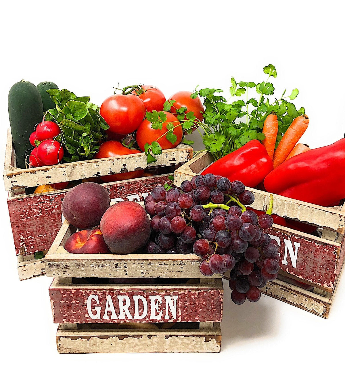 NutriStar Vegetable Garden