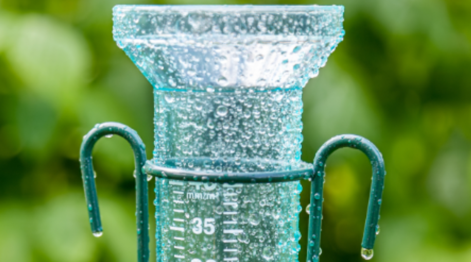 Winter Lawn Watering