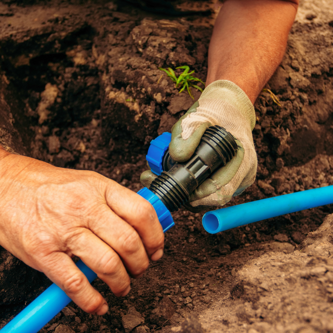 It’s Summer Time! Time to Water!