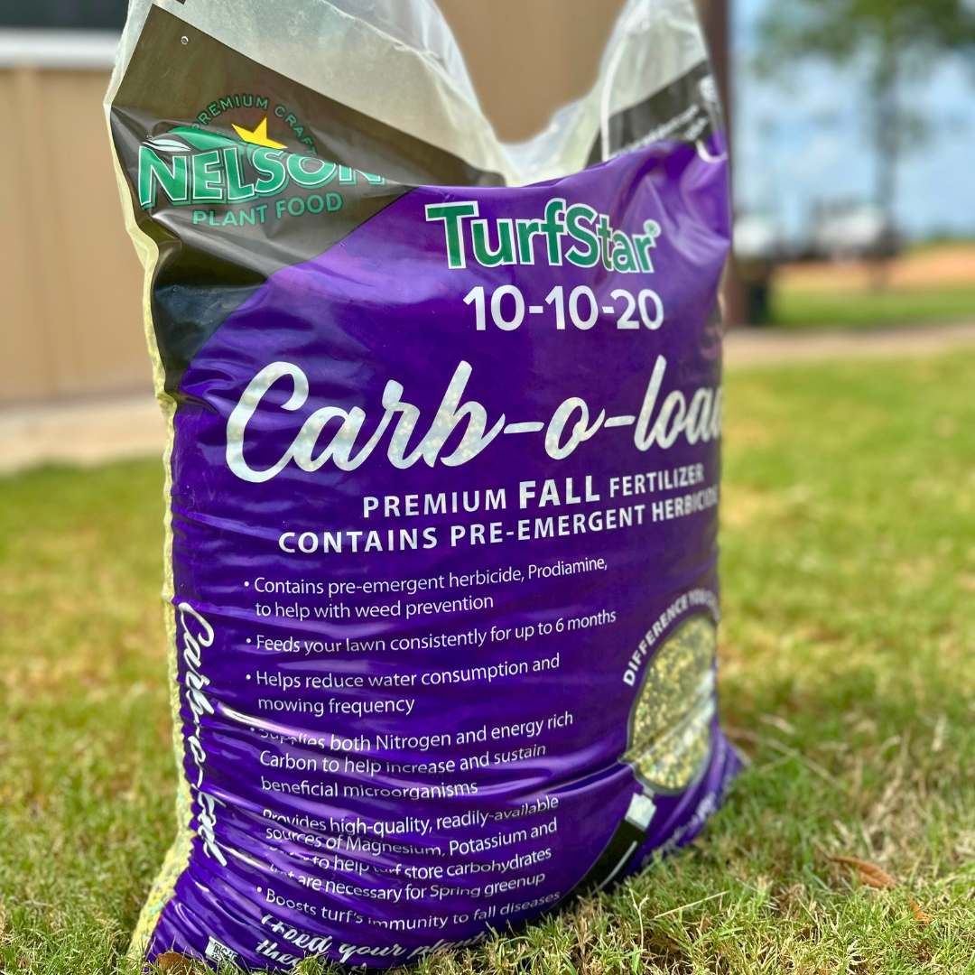 Looking Forward to Fall