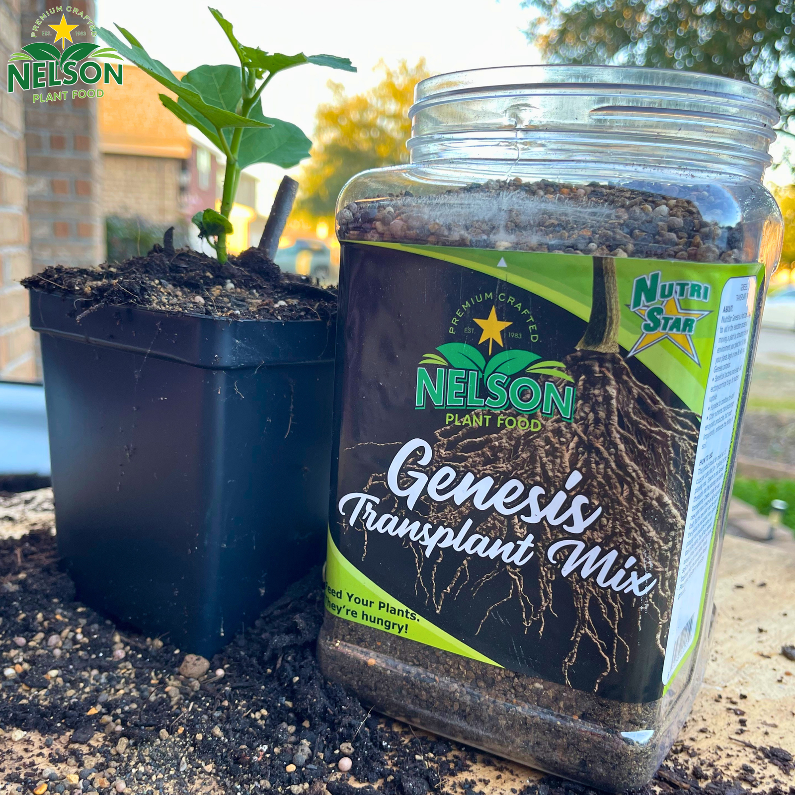Fall Planting Starts At The Roots