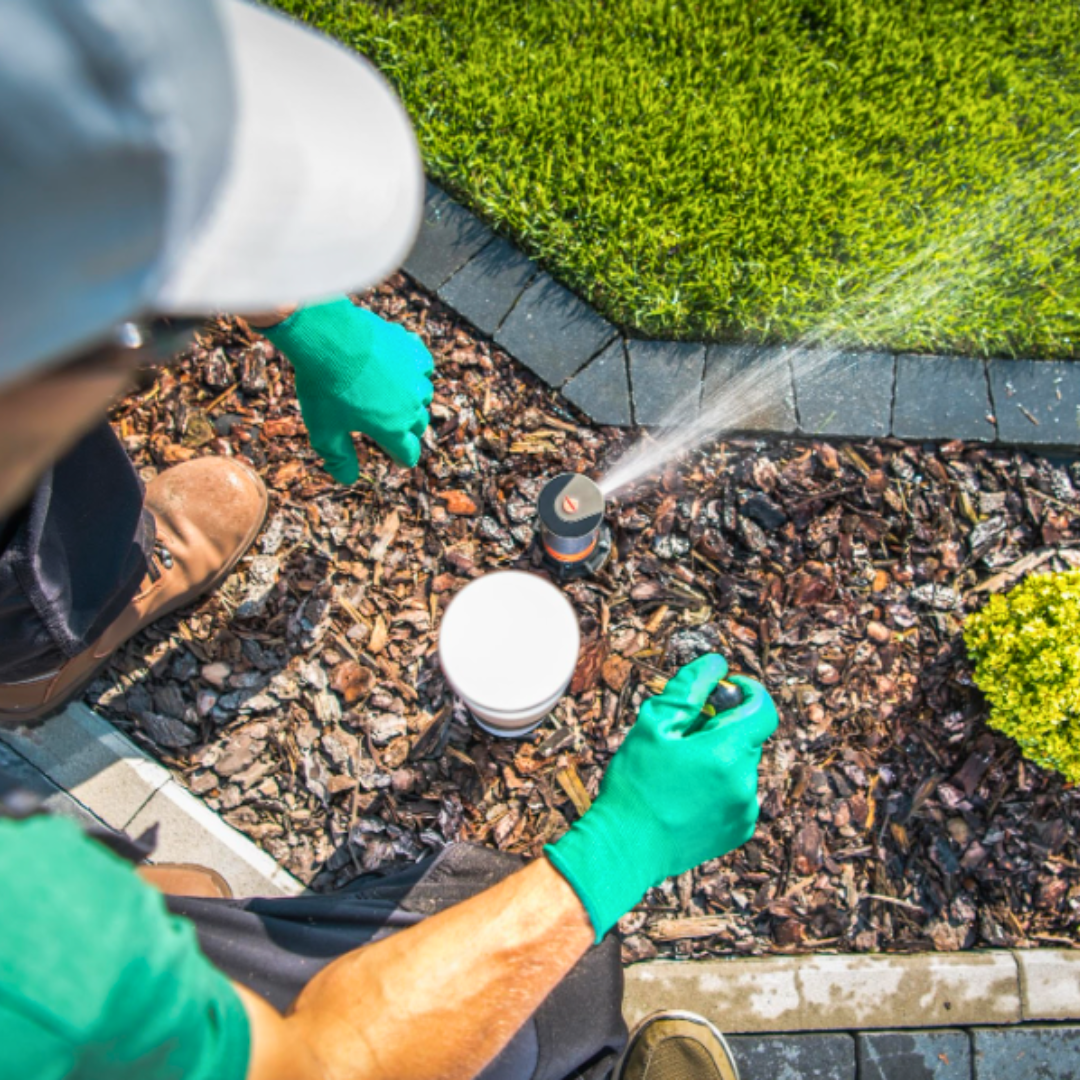 Ready, Set, the Heat is on!