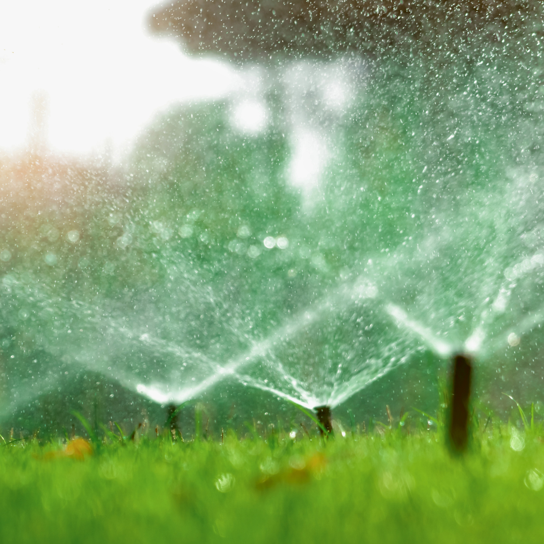 Tips for Summer Survival