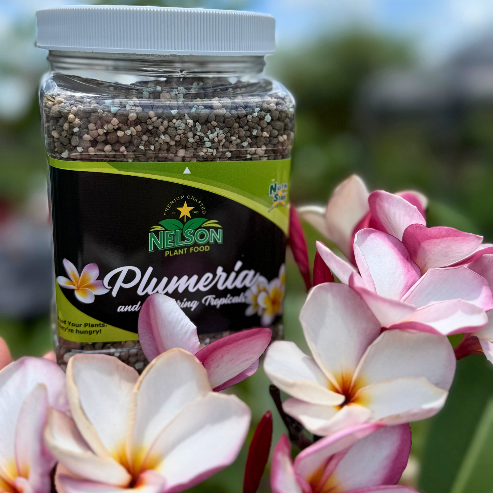 Create Your Own Tropical Paradise with NutriStar Plumeria Food