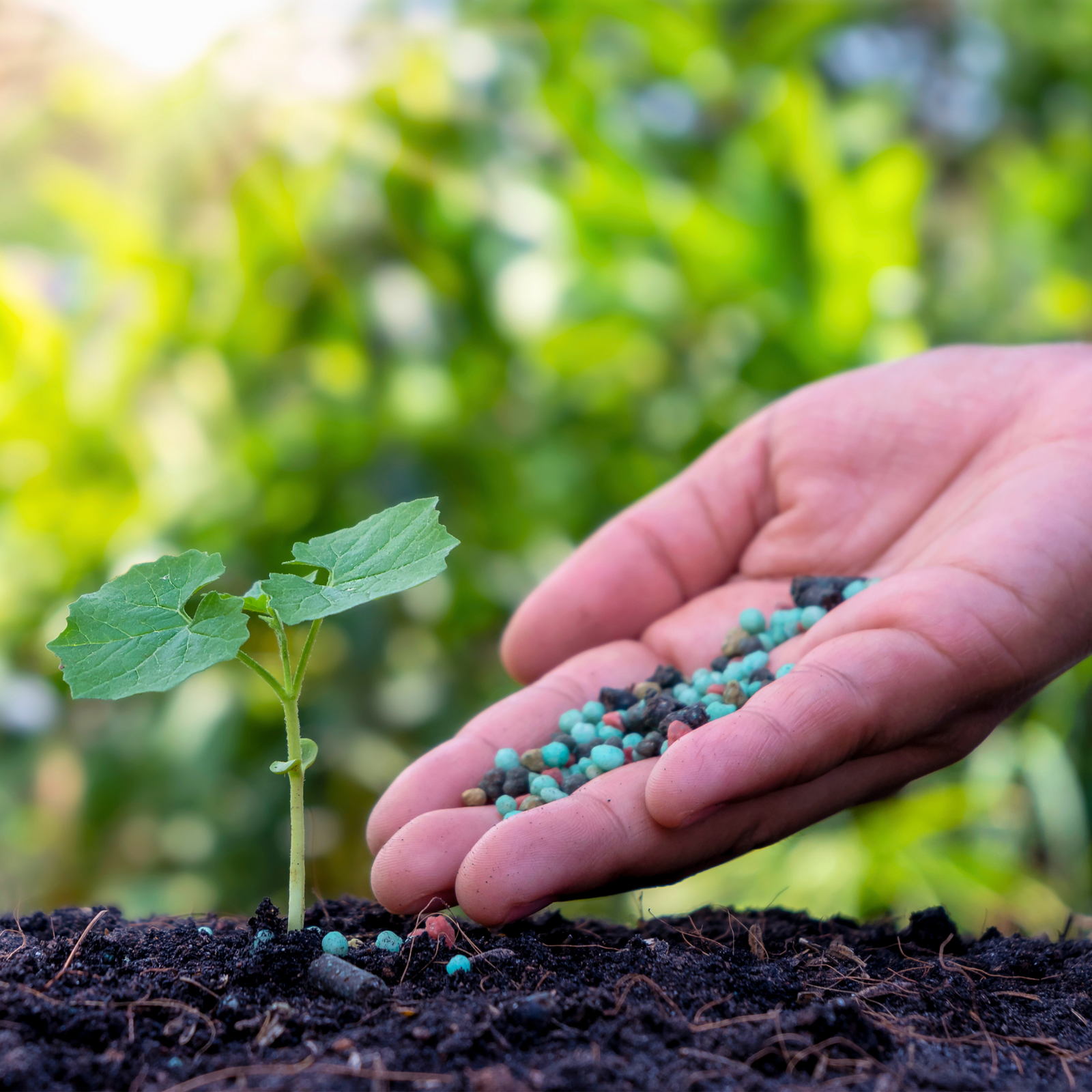 Recommended Summer Products for Landscapers