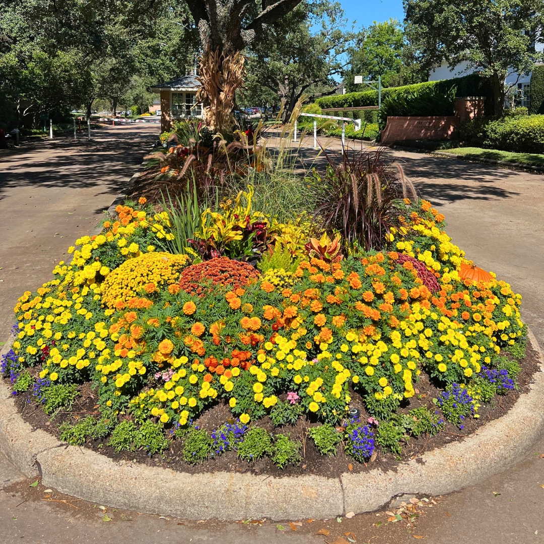 From The Landscape Ladies