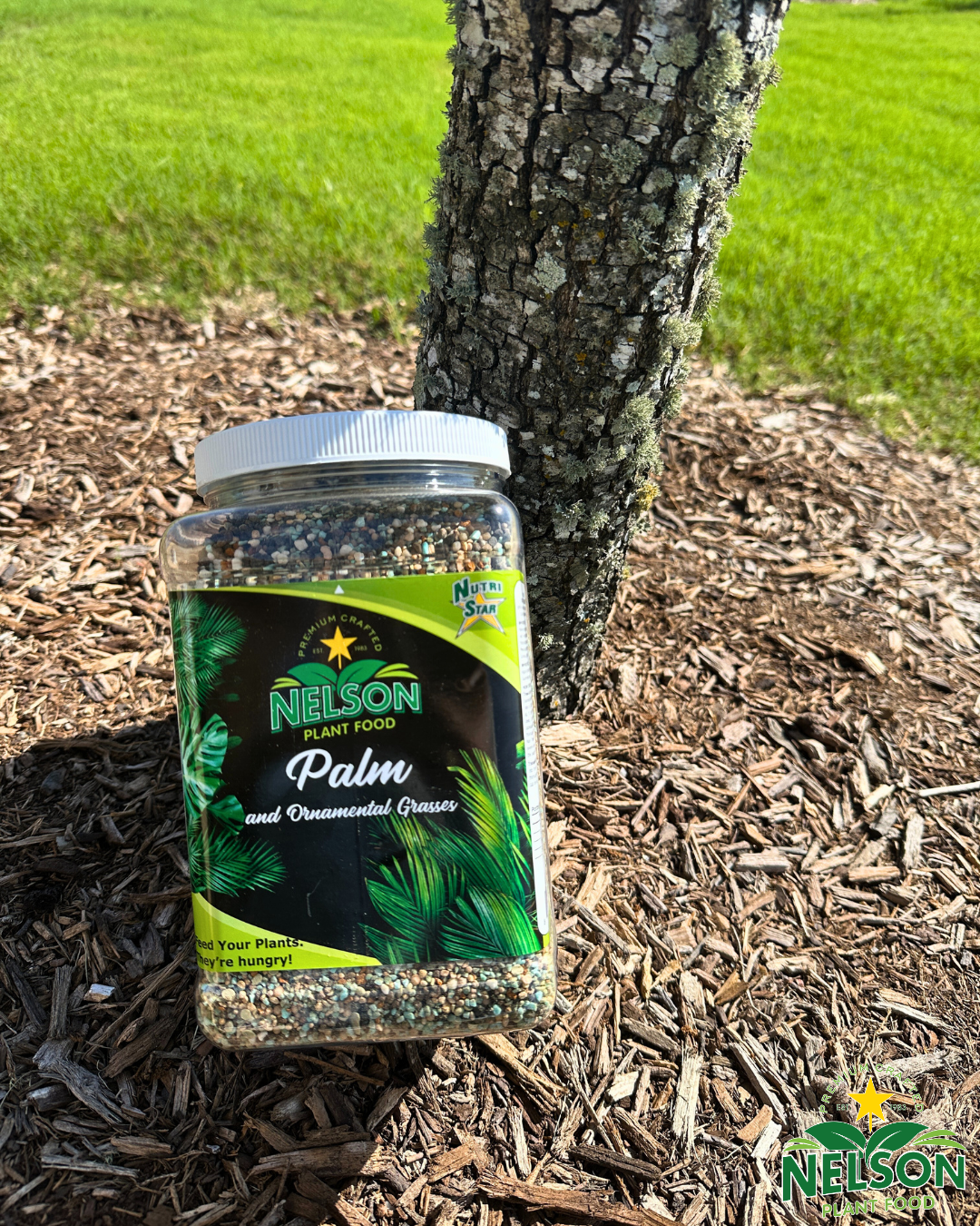 best plant food for palms NutriStar Palm 25 lb BAG