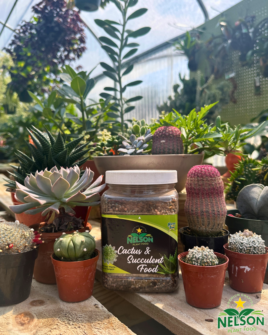 cactus and succulents fertilizer NutriStar Cactus and Succulent 4 lb JAR