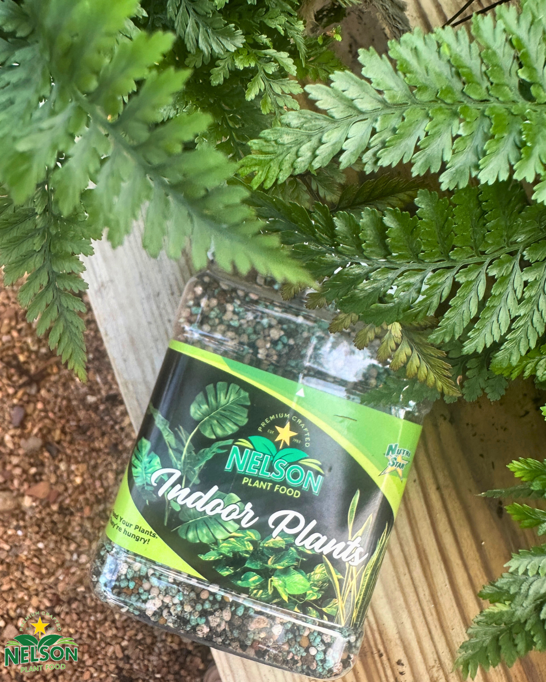 NutriStar Indoor Plants