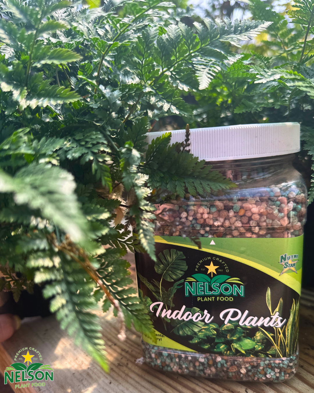 indoor plants nutrition NutriStar Indoor Plants