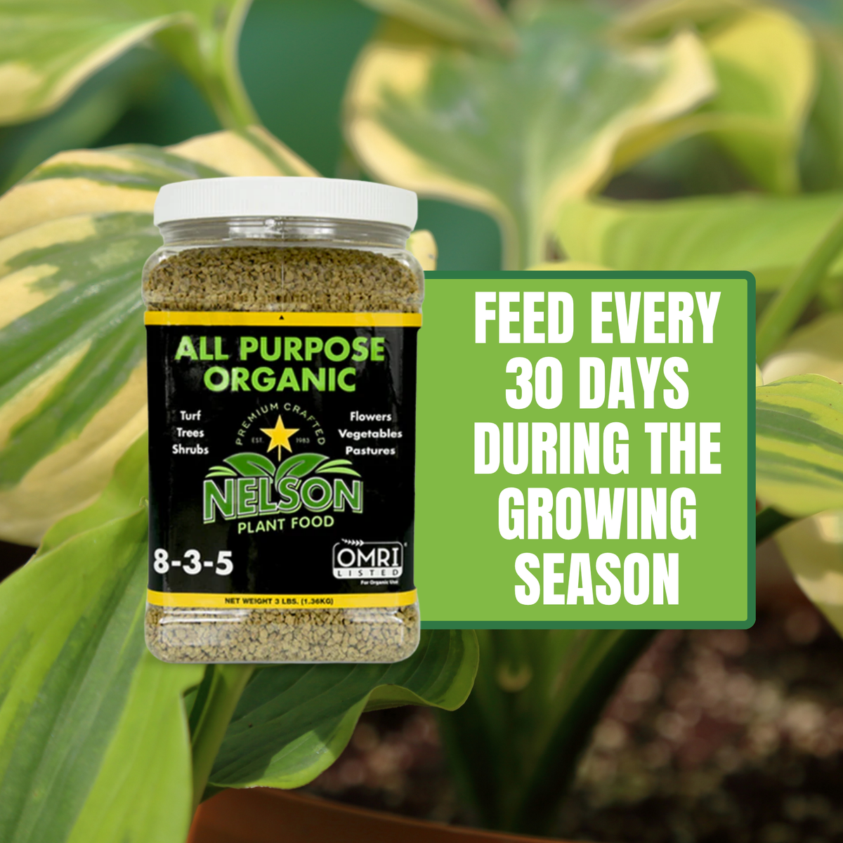 NatureStar All Purpose Organic