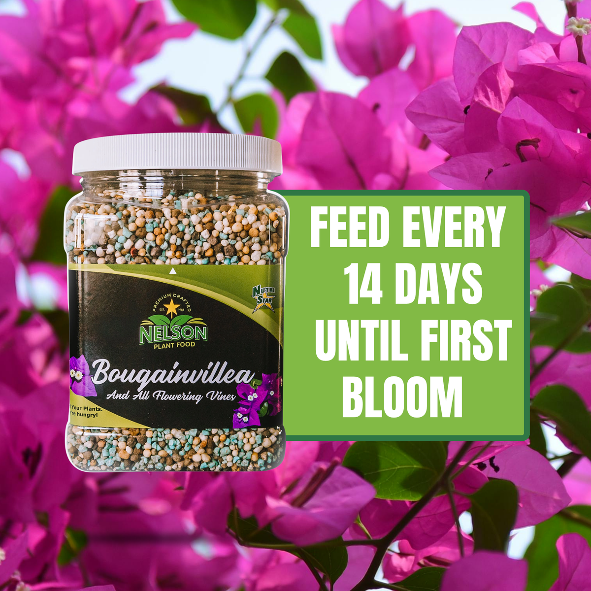 NutriStar Bougainvillea