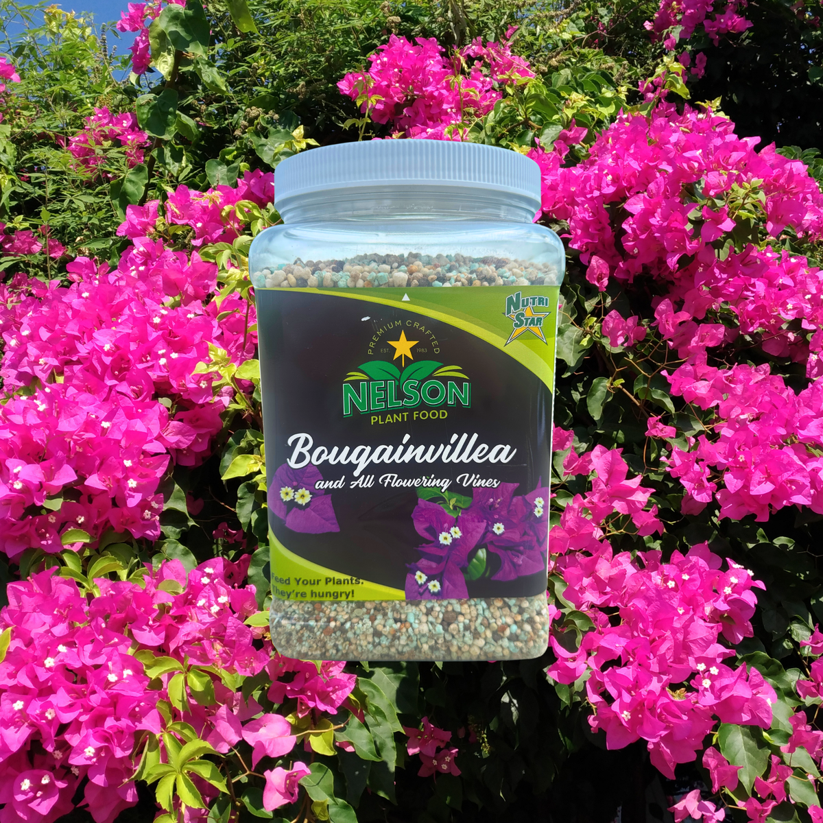 NutriStar Bougainvillea
