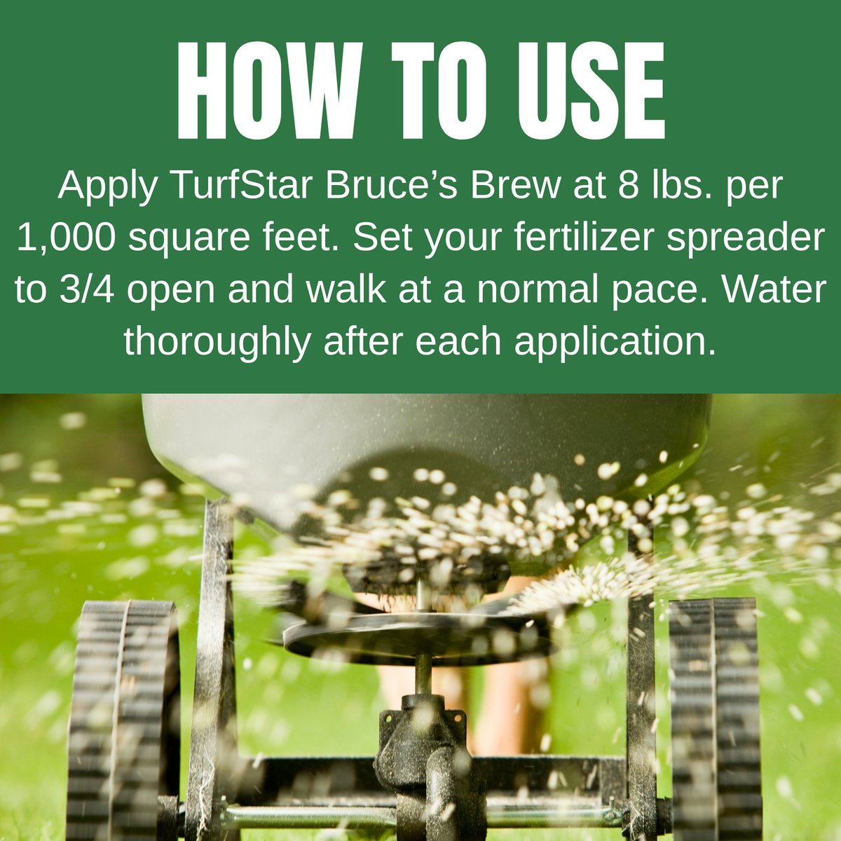 TurfStar Bruce's Brew