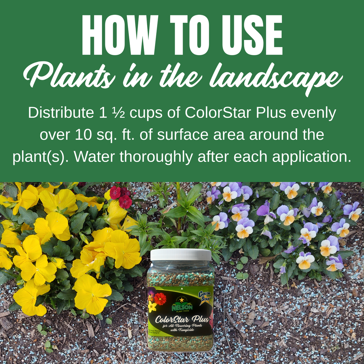 ColorStar Plus