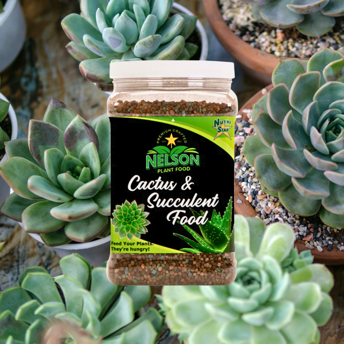 NutriStar Cactus and Succulent