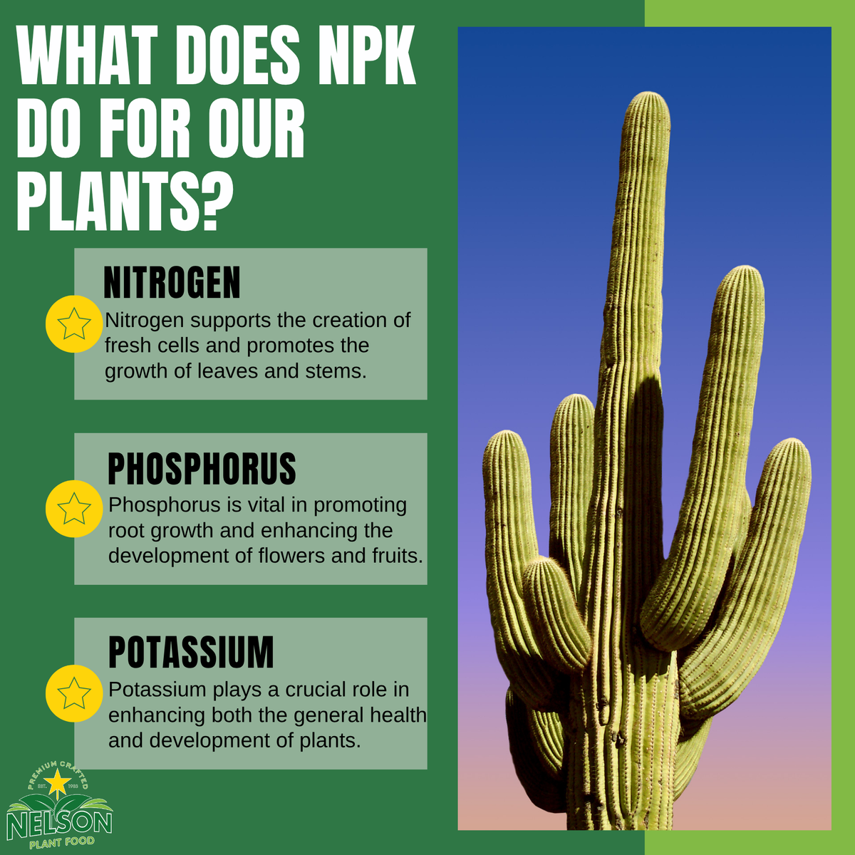 NutriStar Cactus and Succulent