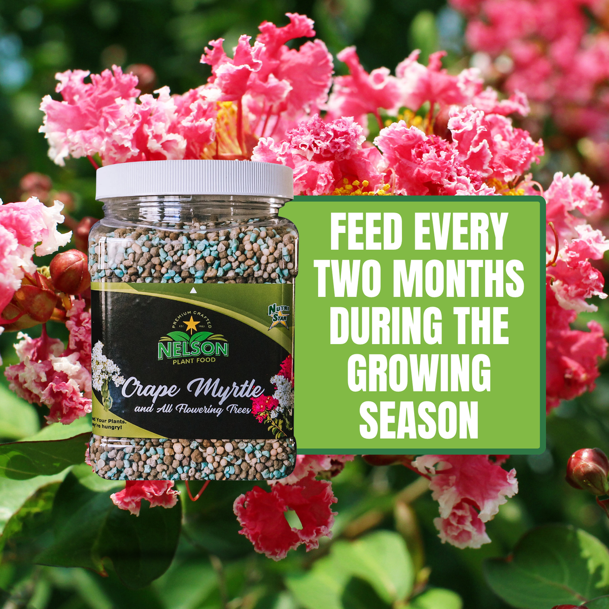NutriStar Crape Myrtle