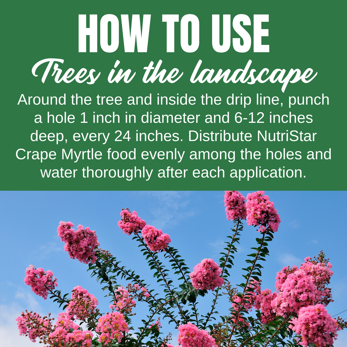 NutriStar Crape Myrtle