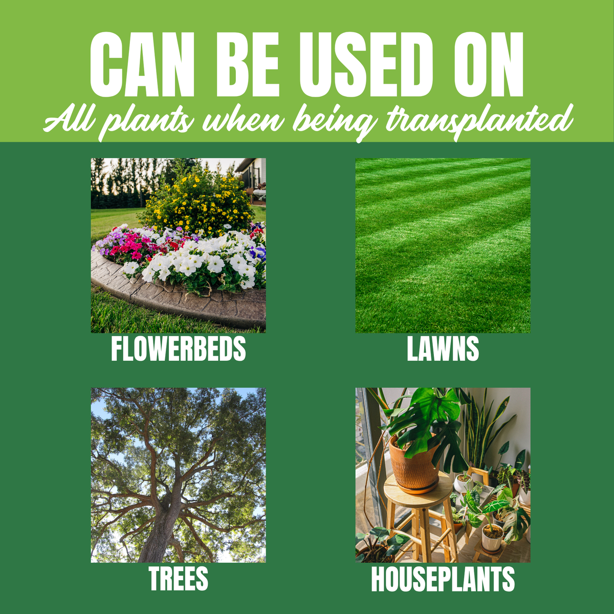 NutriStar Genesis Transplant Mix