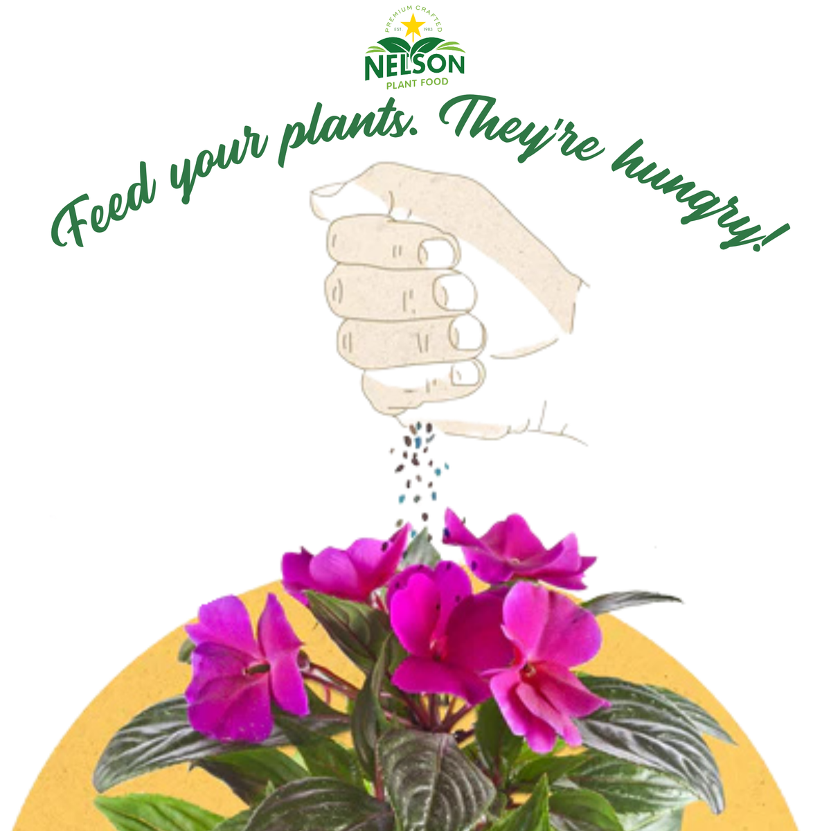 NutriStar Genesis Transplant Mix