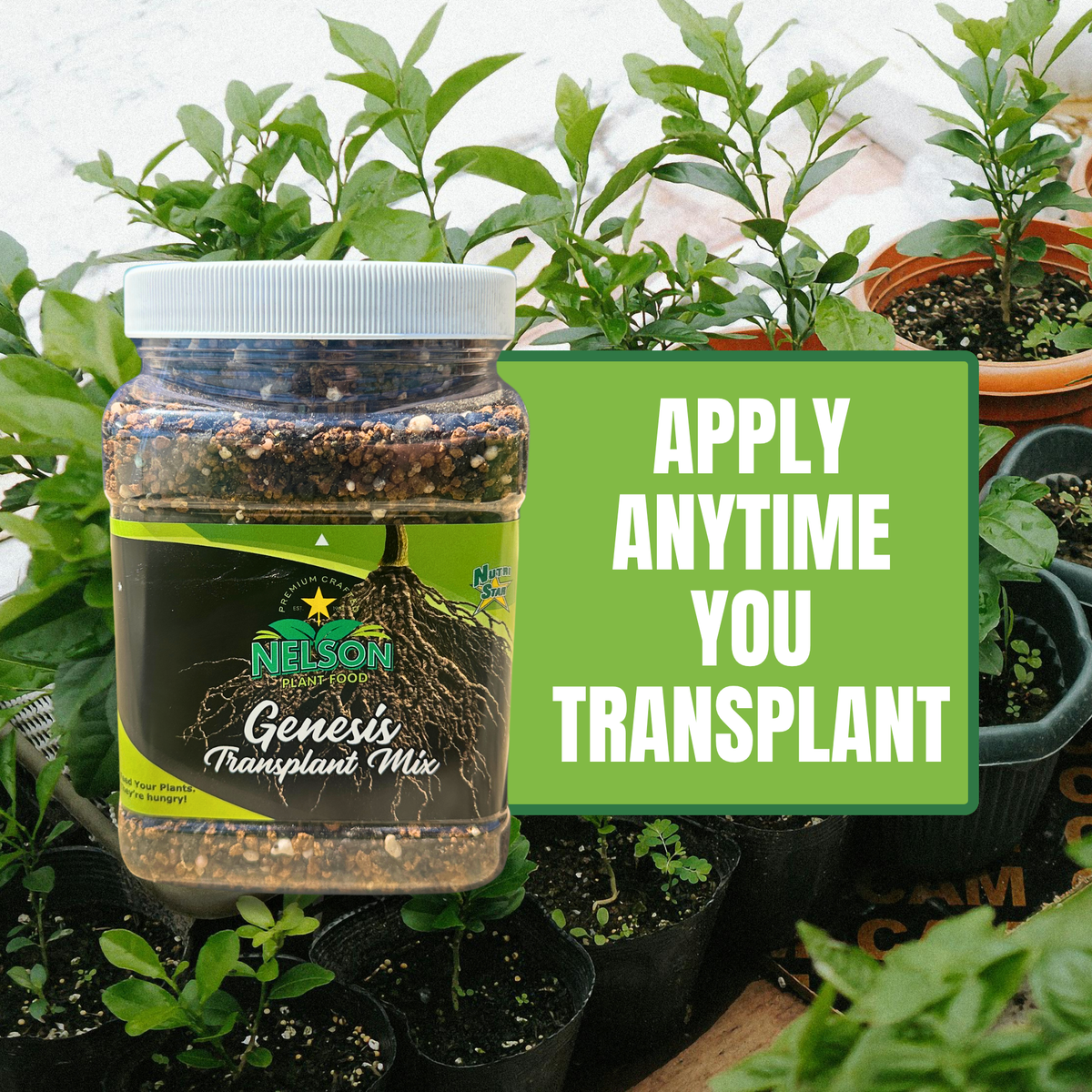 NutriStar Genesis Transplant Mix