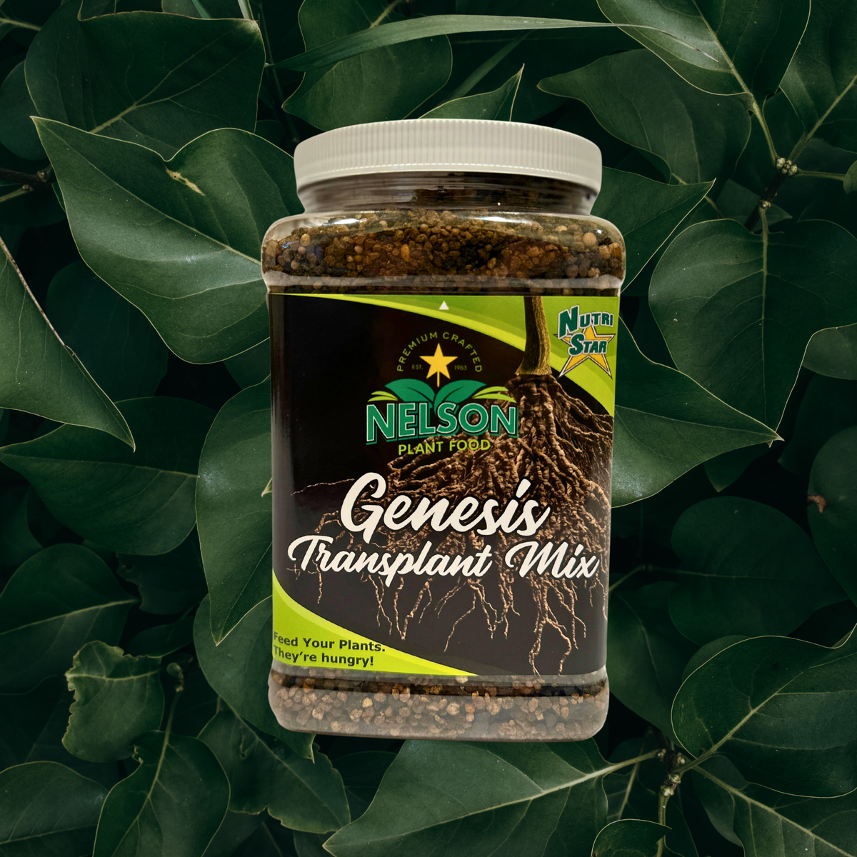 NutriStar Genesis Transplant Mix