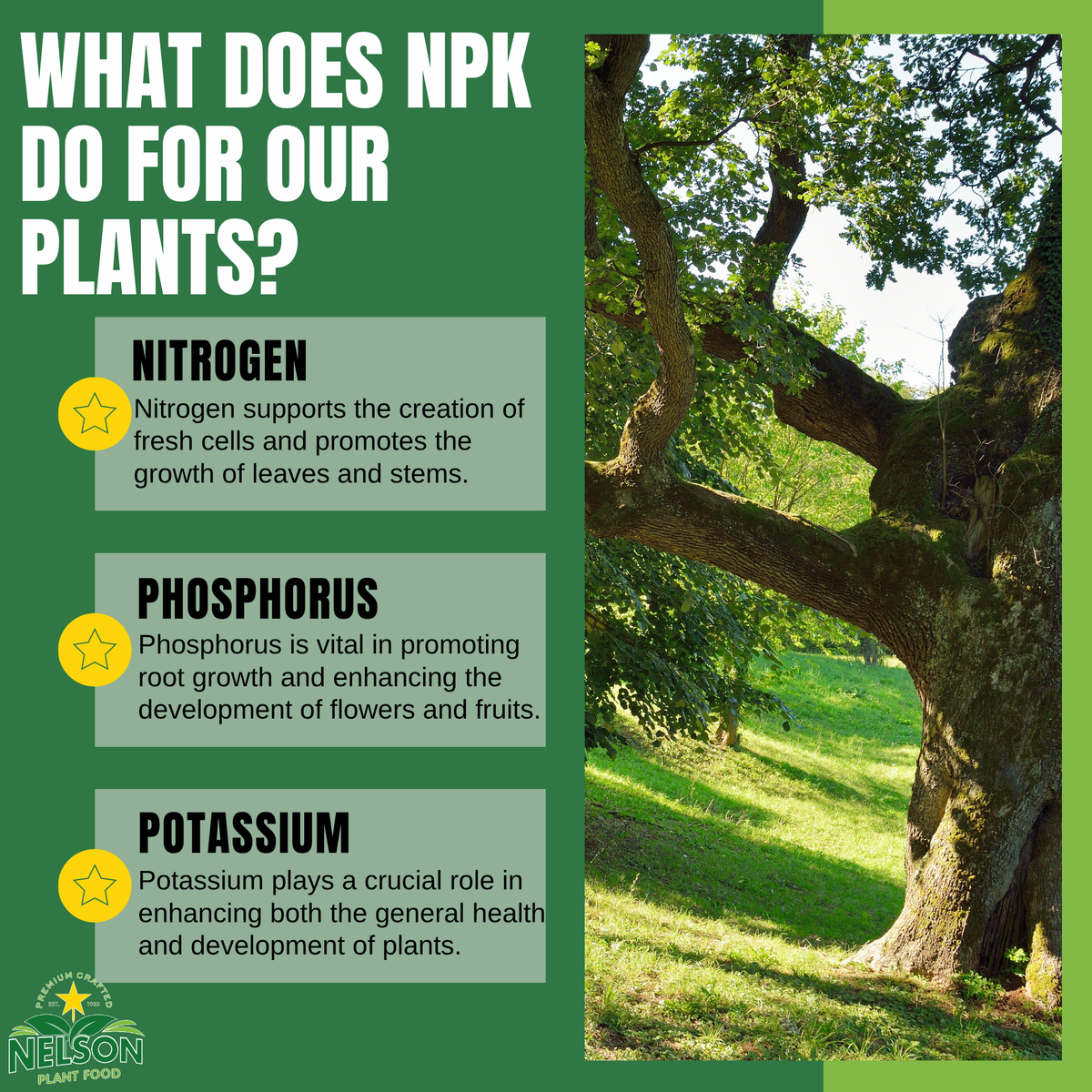 NutriStar Genesis Transplant Mix