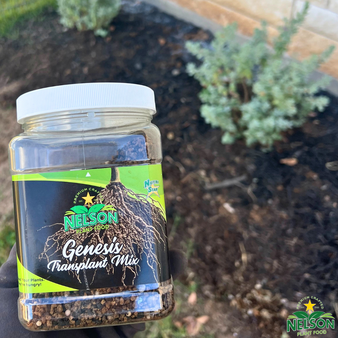 plant transplant fertilizer NutriStar Genesis Transplant Mix 2 lb JAR