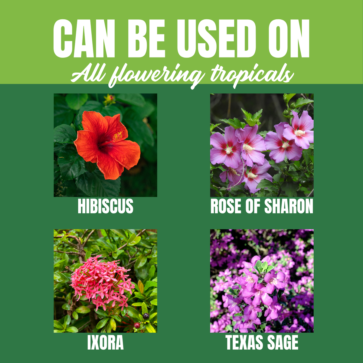 NutriStar Hibiscus