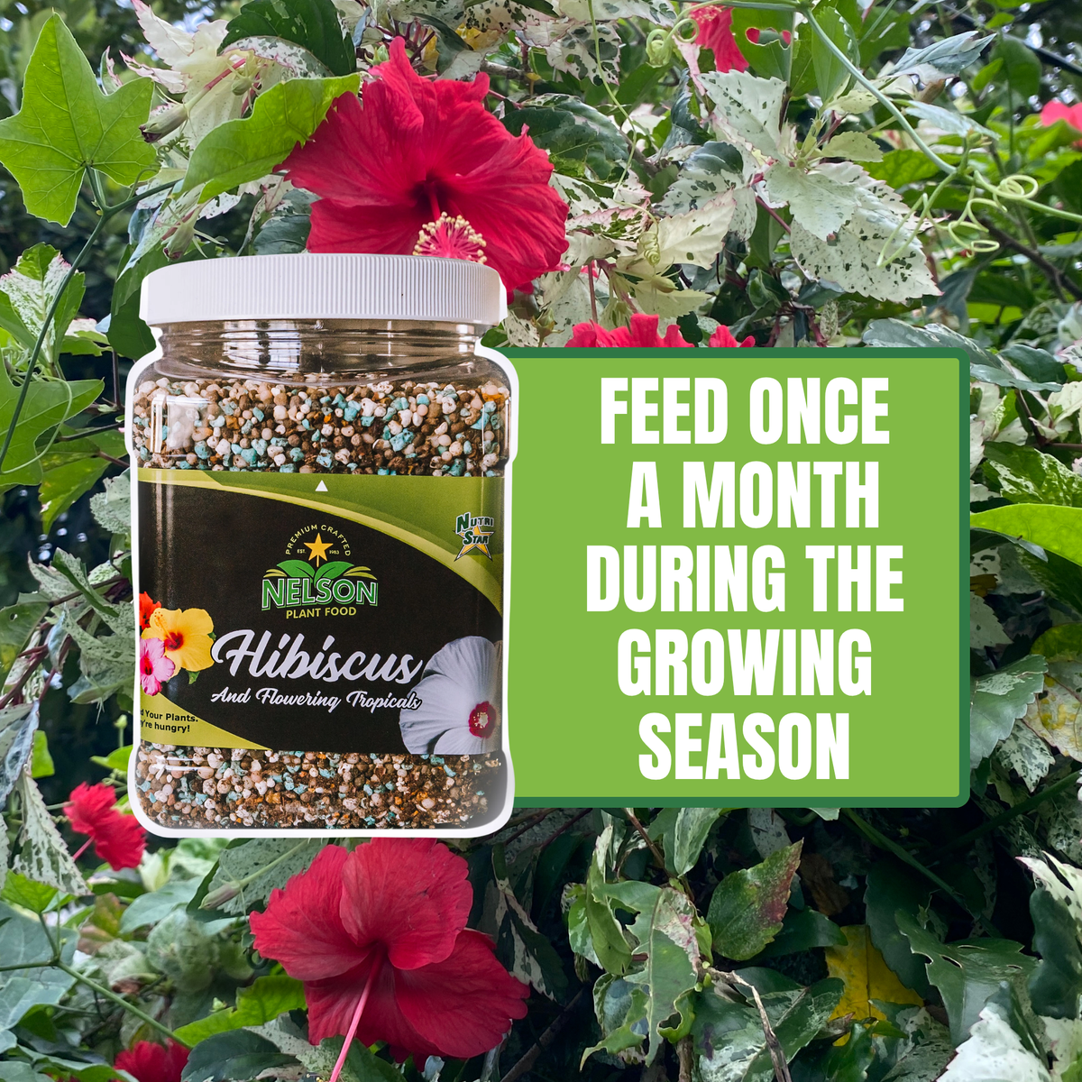 NutriStar Hibiscus