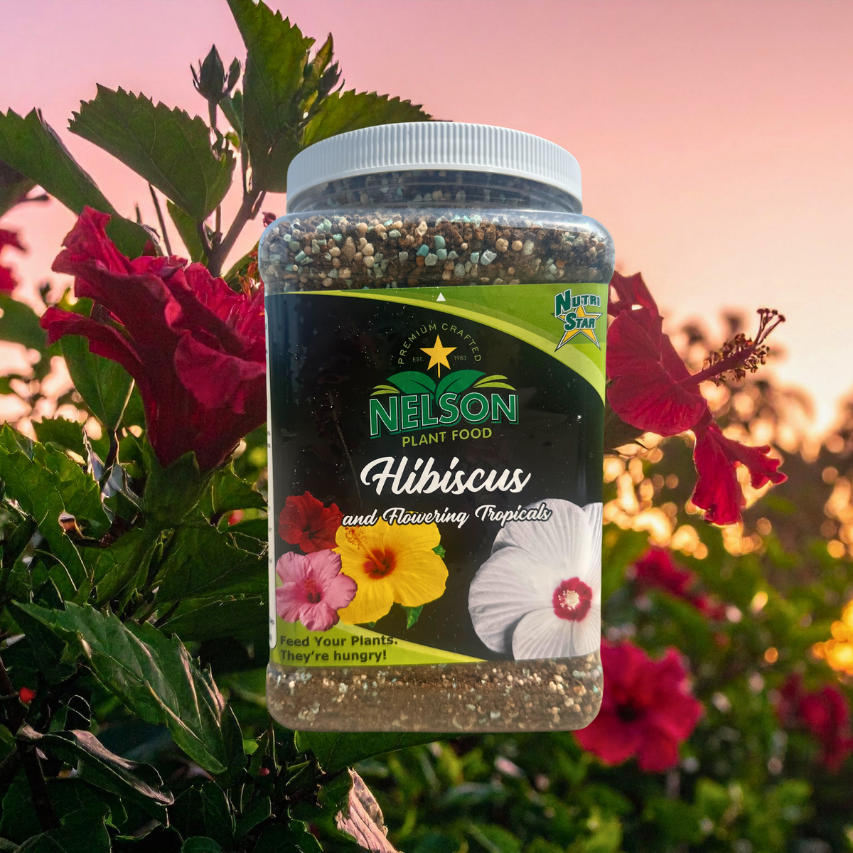 NutriStar Hibiscus