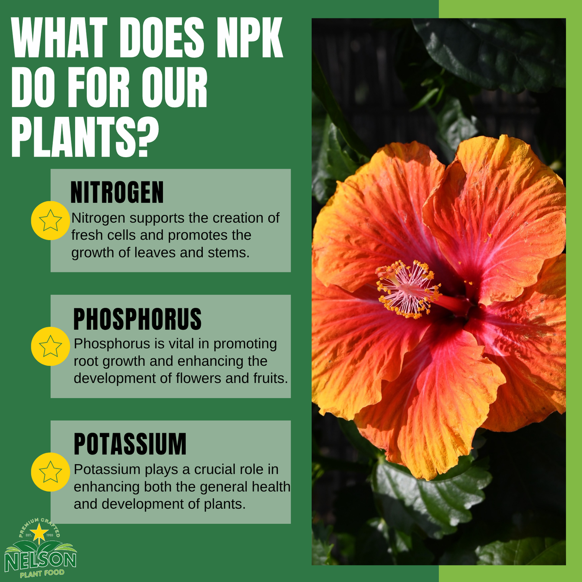 NutriStar Hibiscus