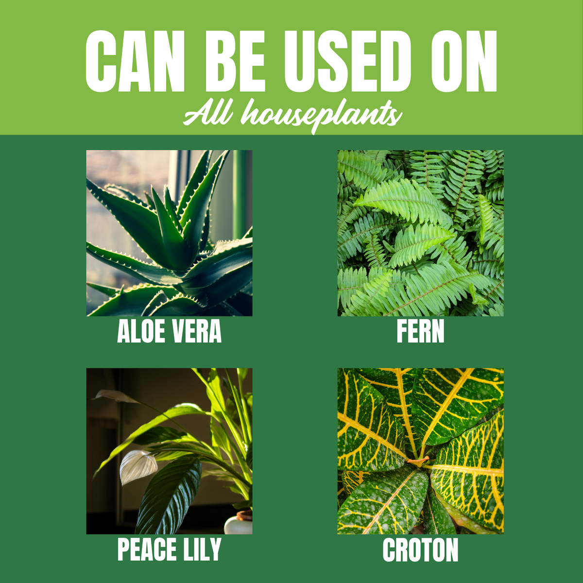 NutriStar Indoor Plants