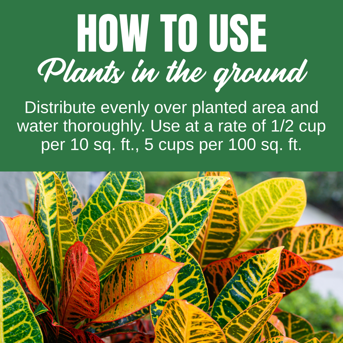 NutriStar Indoor Plants