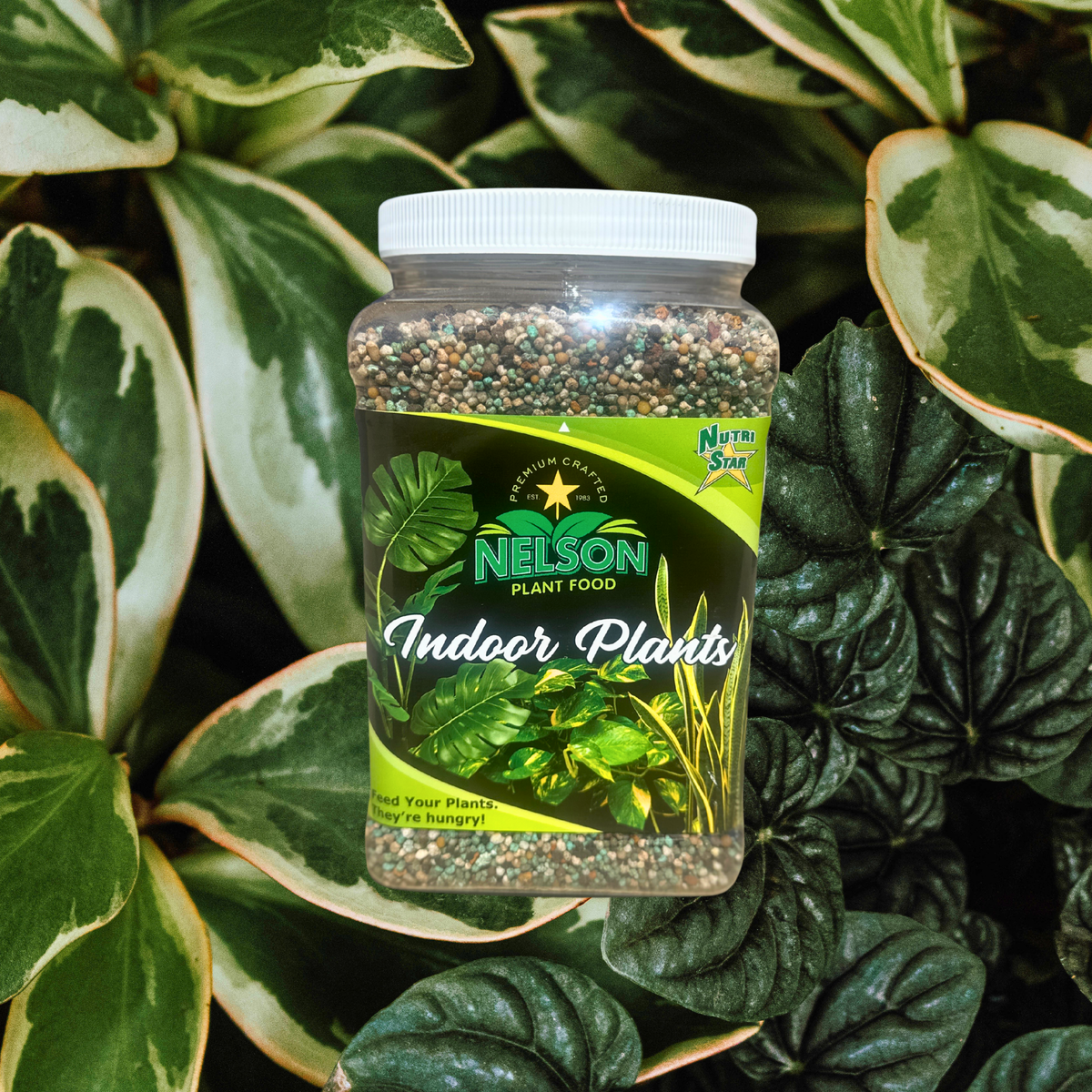 NutriStar Indoor Plants