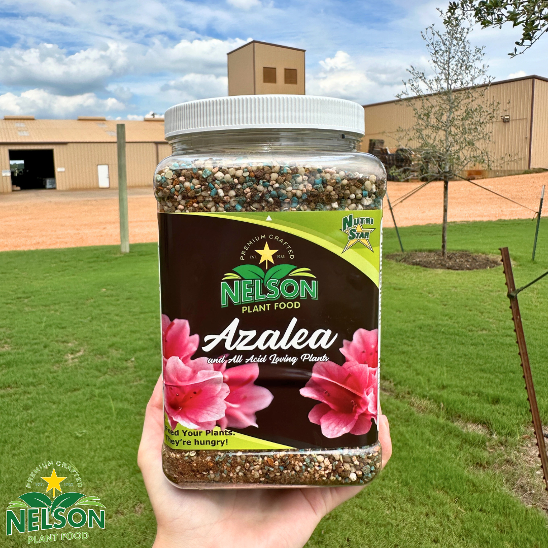 azalea plant fertilizer NutriStar Azalea 4 lb JAR