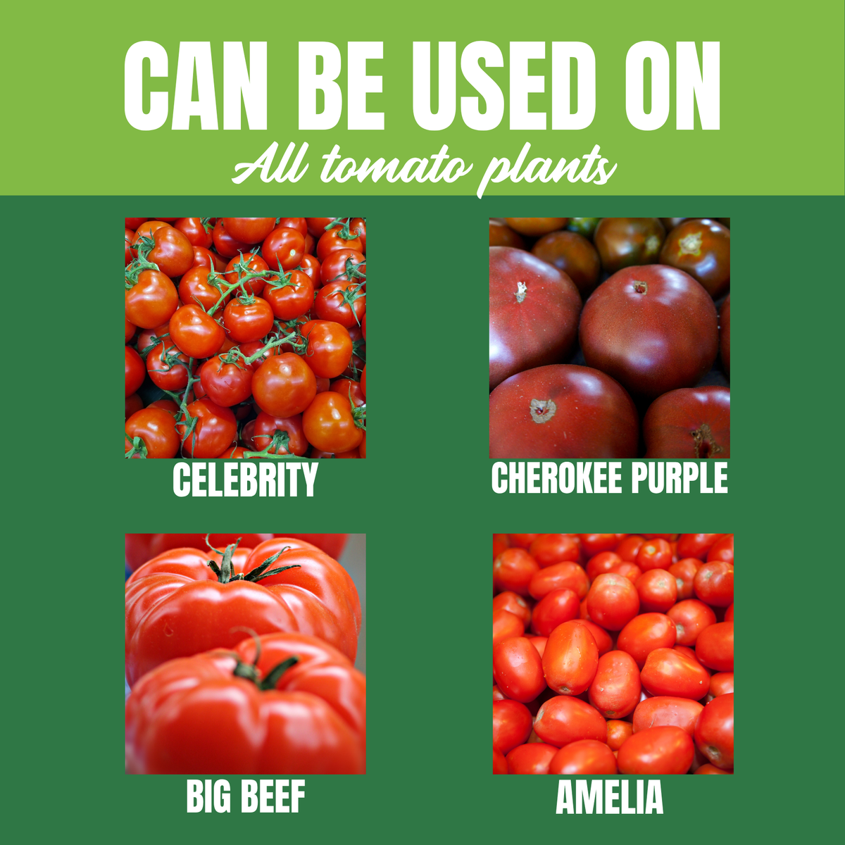 NatureStar Organic Tomato