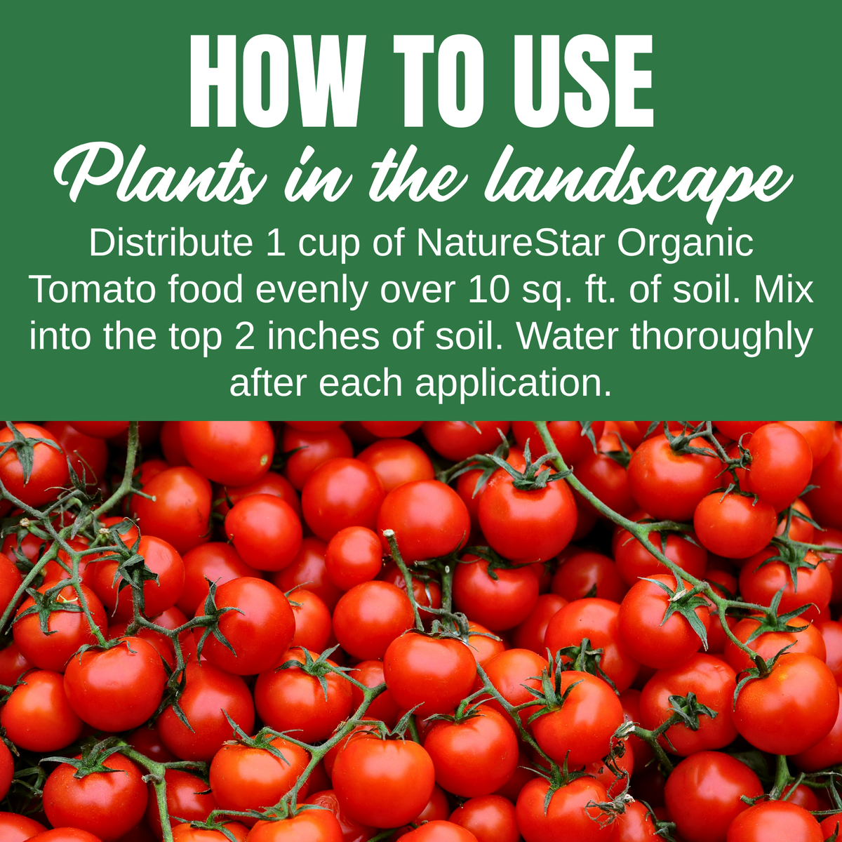 NatureStar Organic Tomato