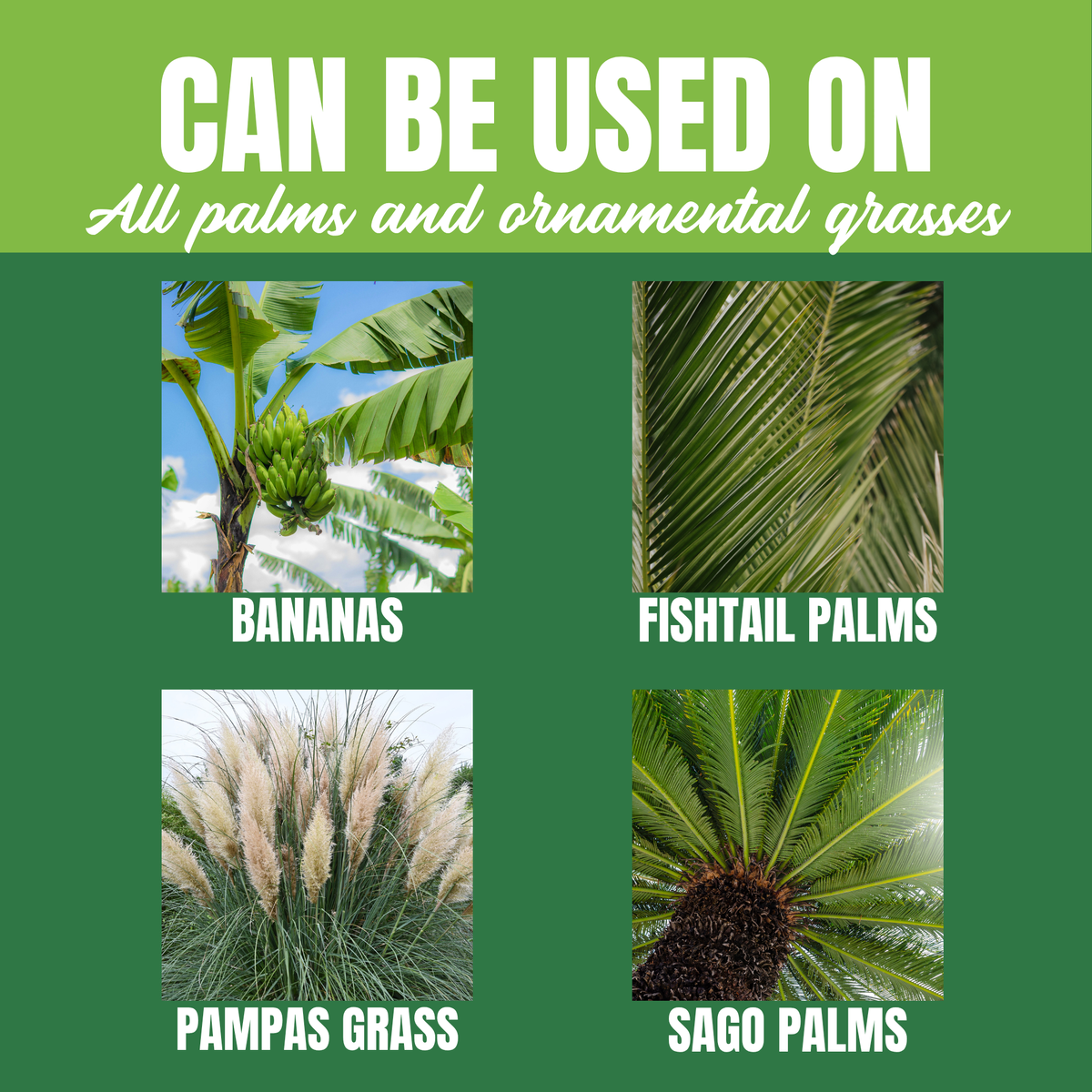 NutriStar Palm