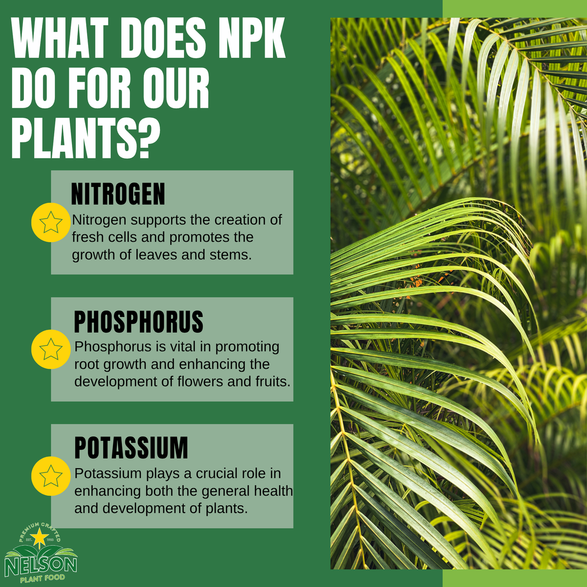 NutriStar Palm