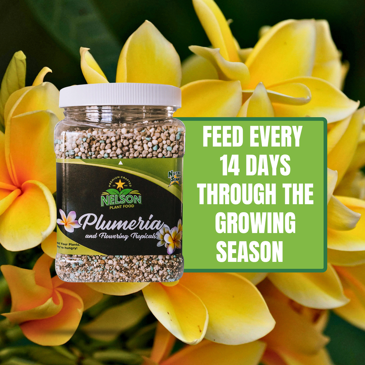 NutriStar Plumeria