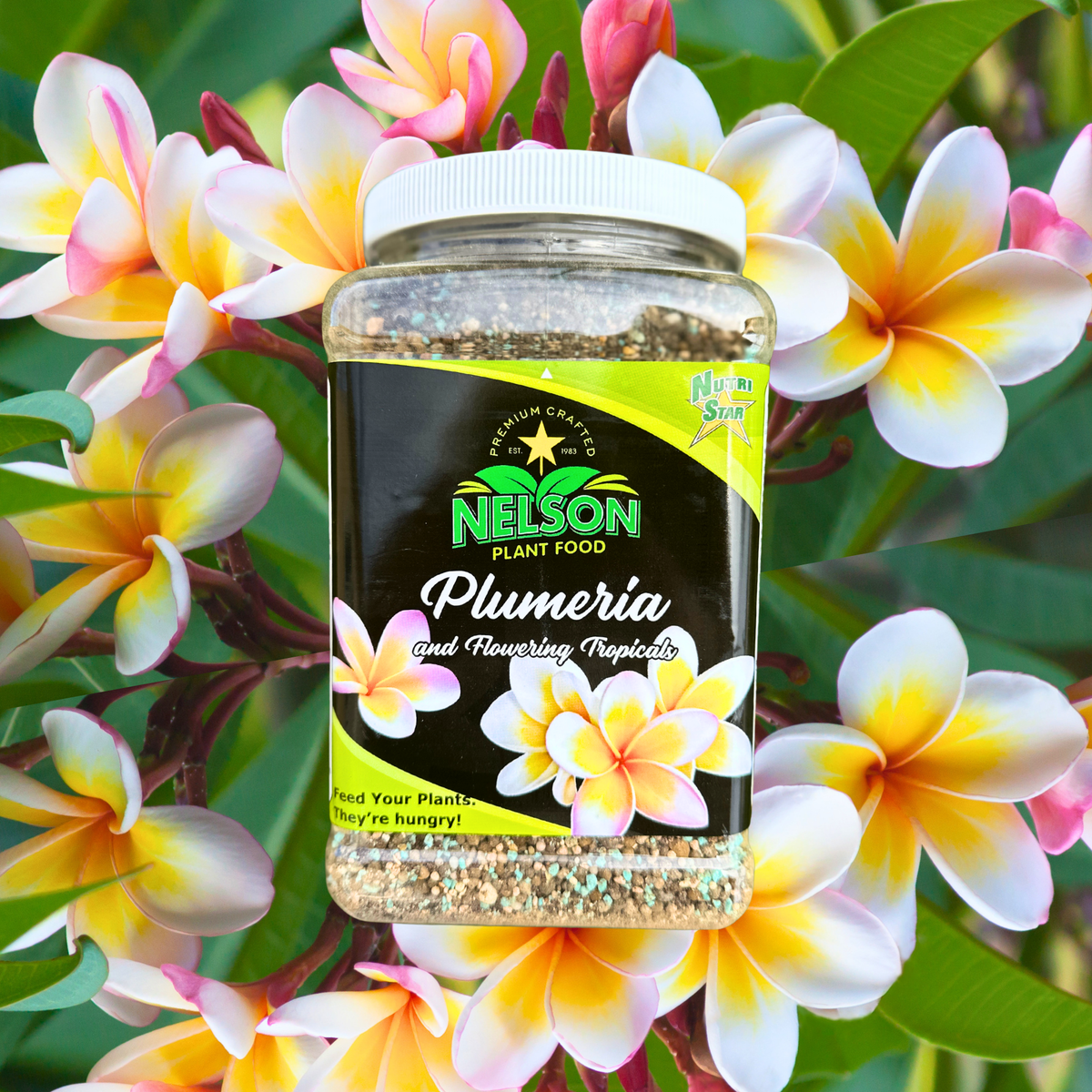NutriStar Plumeria