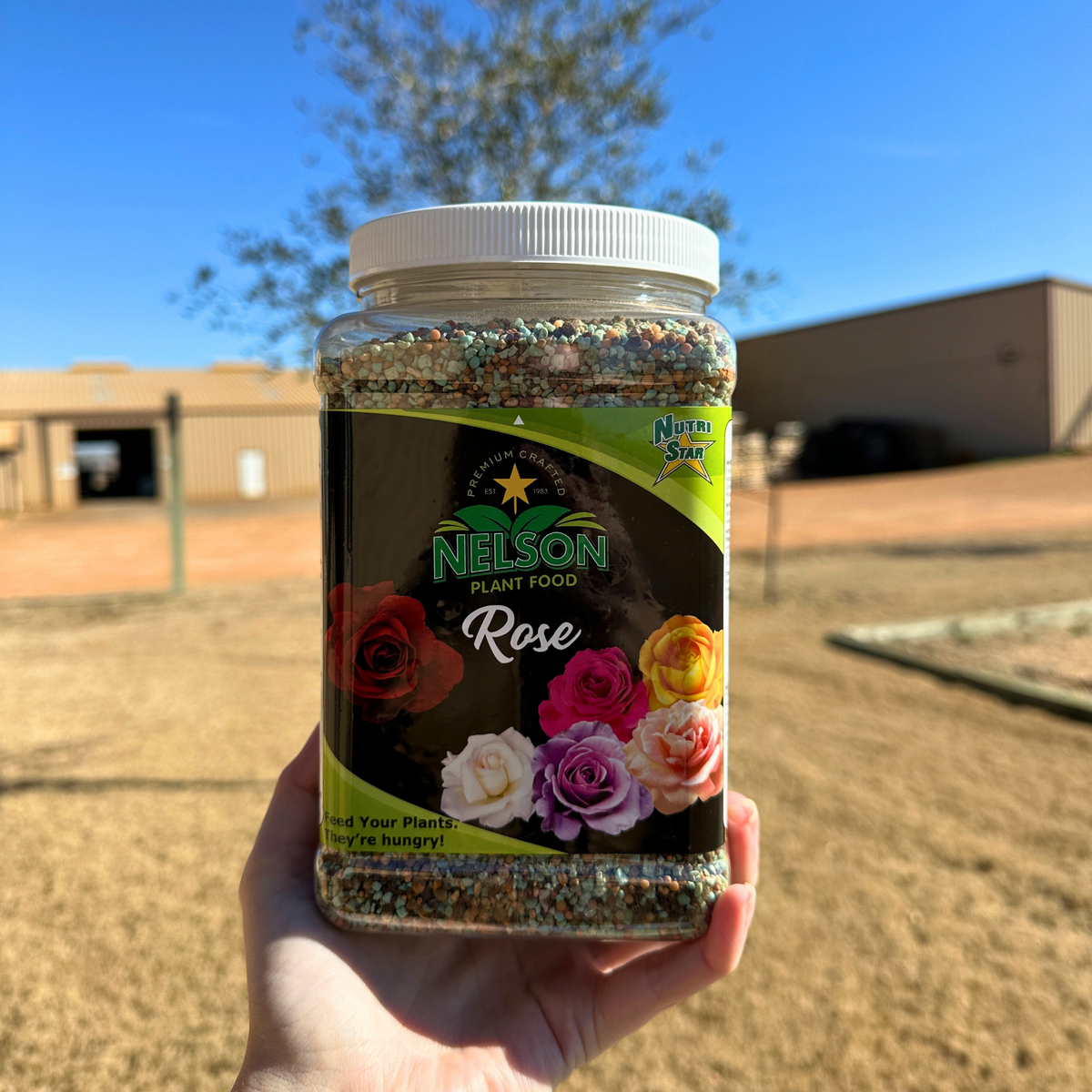rose plant best fertilizer NutriStar Rose