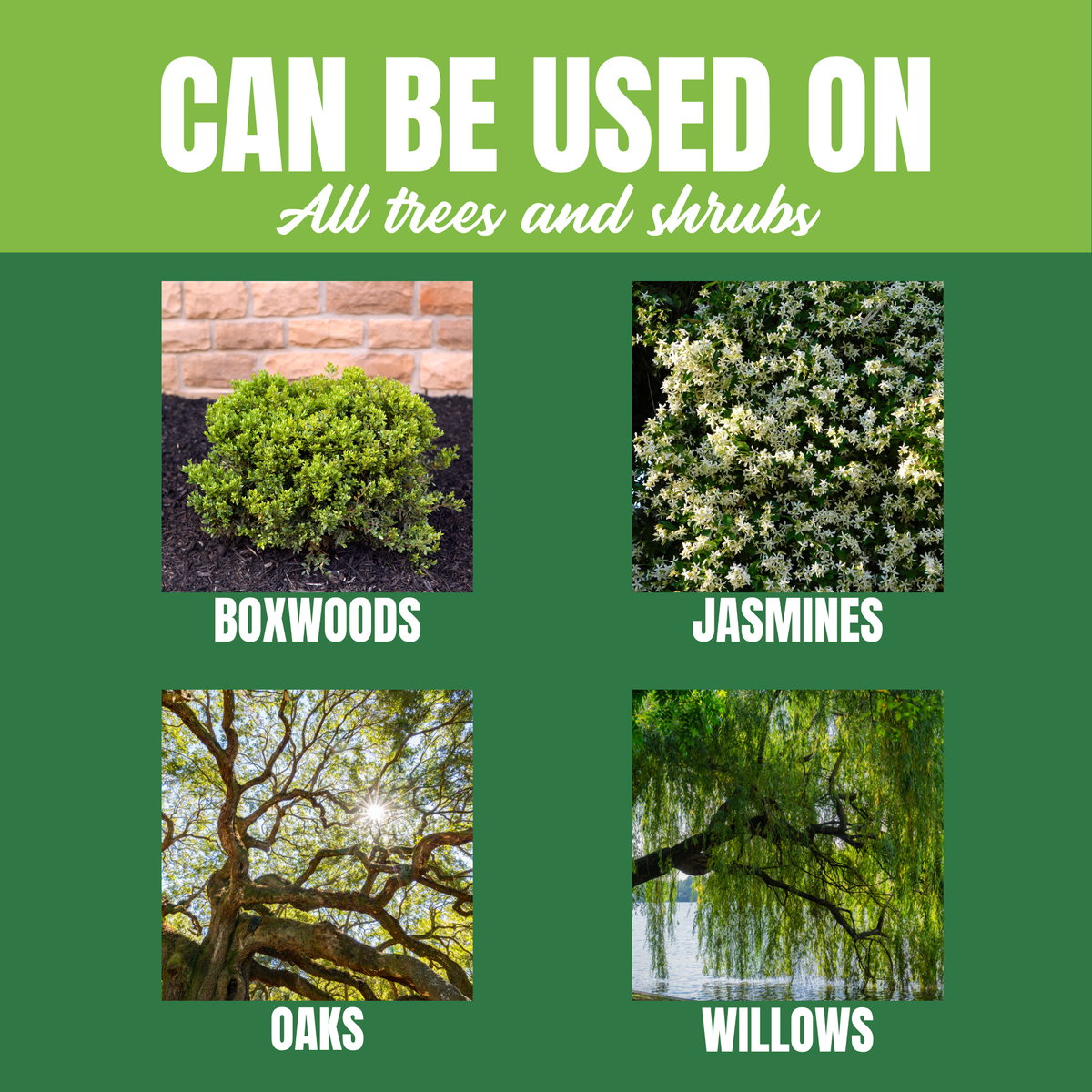 NutriStar Tree & Shrub