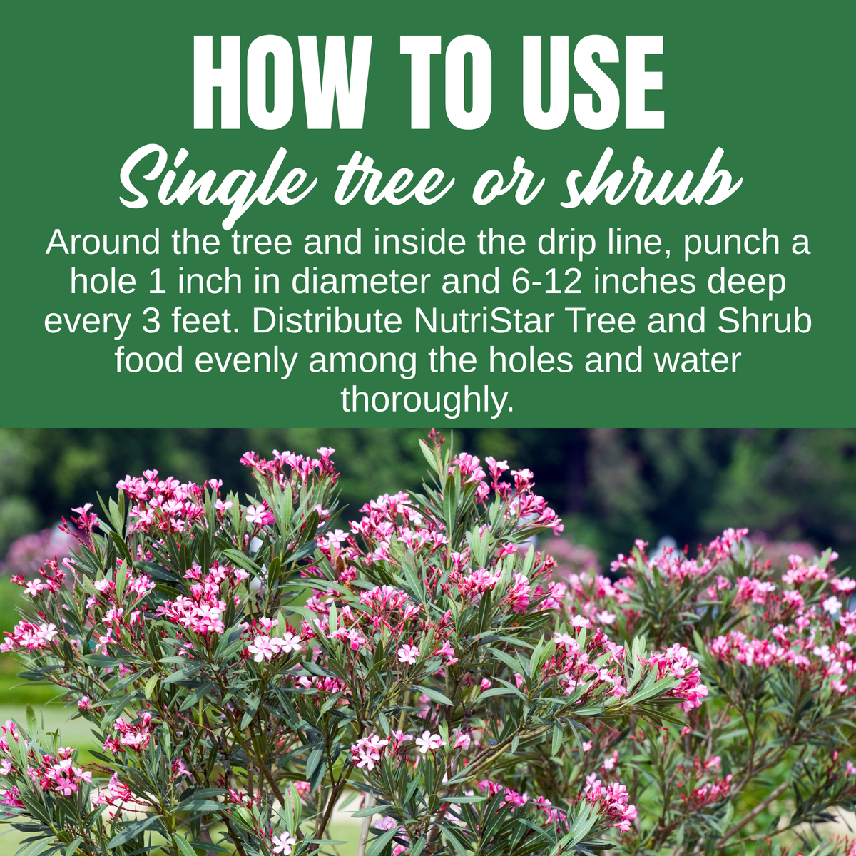 NutriStar Tree & Shrub