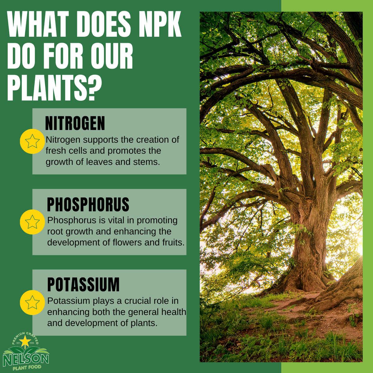 NutriStar Tree & Shrub