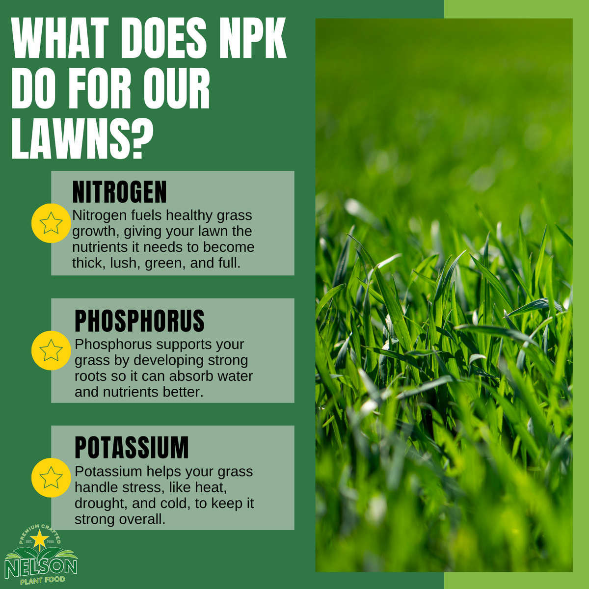 TurfStar Weed-inator