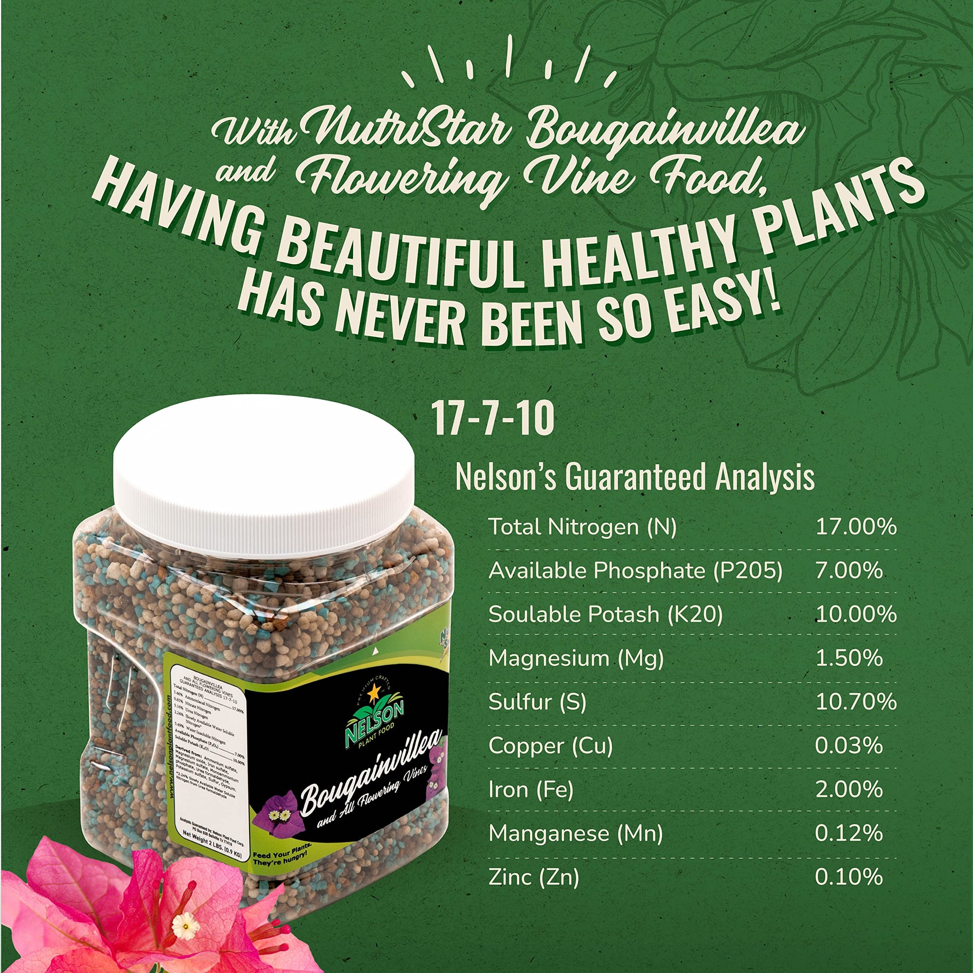 NutriStar Bougainvillea - Nelson Plant Food